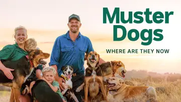 Задник к сериалу "Muster Dogs: Where Are They Now" #1503312