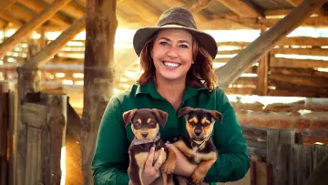 Задник к сериалу "Muster Dogs: Where Are They Now" #1503313