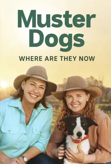 Постер к сериалу "Muster Dogs: Where Are They Now" #1503316