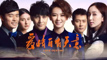 爱情自有天意 постер