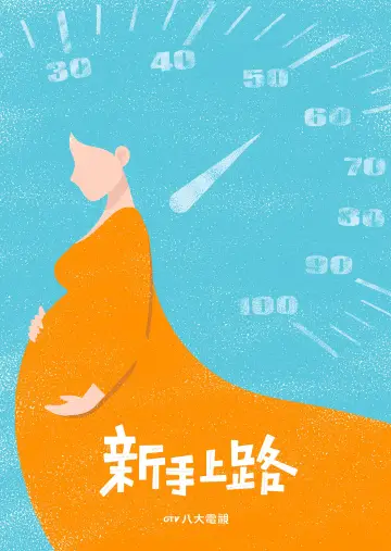 新手上路 постер