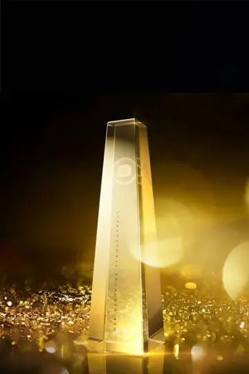 Deutscher Fernsehpreis постер
