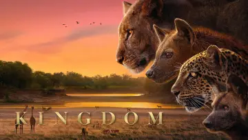 Задник до серіалу "Kingdom" #1473584