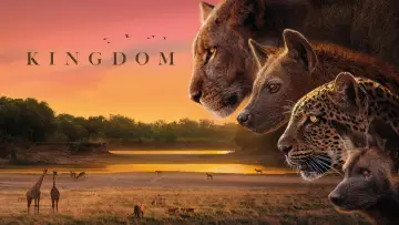 Задник до серіалу "Kingdom" #1473586