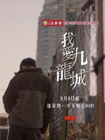 我愛九龍城 постер
