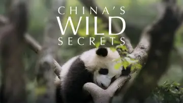 China's Wild Secrets постер
