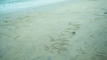 Задник до серіалу "ลัลล์ไม่ชอบไวน์" #1472286