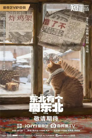 东北有个周东北 постер