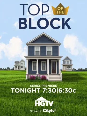 Постер до серіалу "Top Of The Block" #1481934