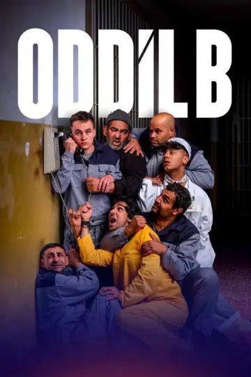 Oddíl B постер