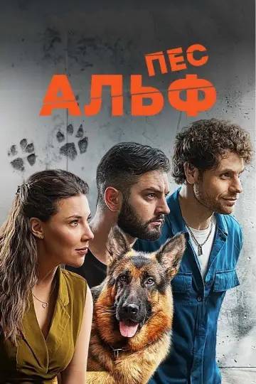 Пес Альф постер