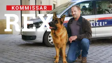 Задник до серіалу "Rex - Vienna Calling" #1550306