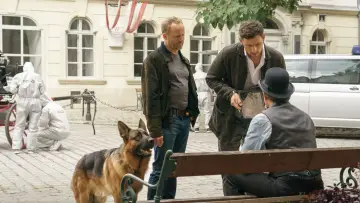 Задник до серіалу "Rex - Vienna Calling" #1550309