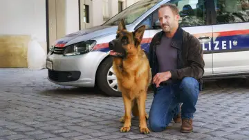 Задник до серіалу "Rex - Vienna Calling" #1550310