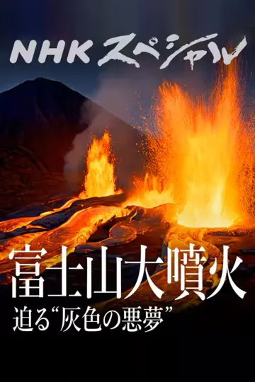 富士山大噴火 迫る“灰色の悪夢” постер