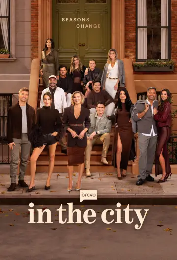 Постер до серіалу "In the City" #1495797