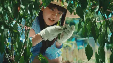 Задник к сериалу "아주르 스프링" #1474268