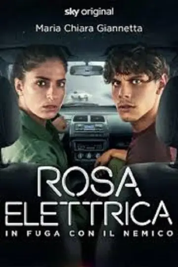 Rosa Elettrica - In fuga con il nemico постер