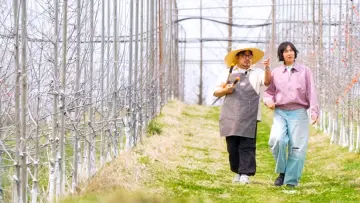 힙&힐링 여행 예쁜 추억 산더미 постер