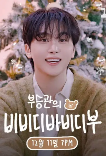 부승관의 비비디바비디부 постер