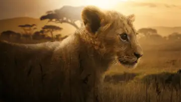 Задник до серіалу "Lion" #1228725