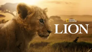 Задник до серіалу "Lion" #1228727