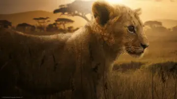 Задник до серіалу "Lion" #1228728