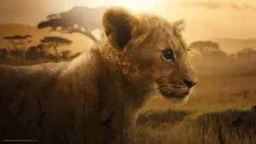 Задник до серіалу "Lion" #1228729