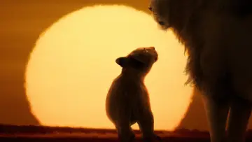 Задник до серіалу "Lion" #1228731