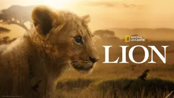 Задник до серіалу "Lion" #1228732