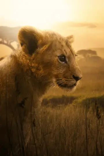 Постер до серіалу "Lion" #1228739