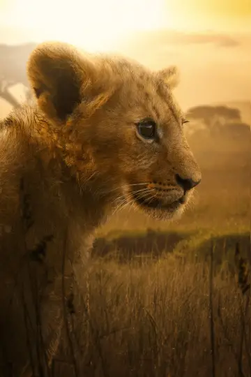 Постер до серіалу "Lion" #1228740