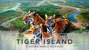 Задник до серіалу "Tiger Island" #1602699