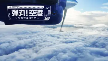 弾丸！空港トンボがえりツアー постер