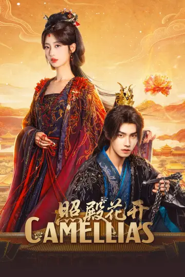 照殿花开 постер