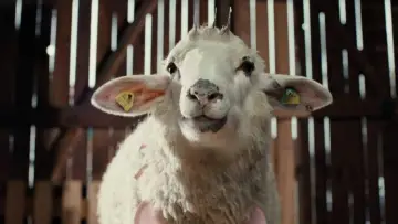 Задник до серіалу "Sheep" #1669523