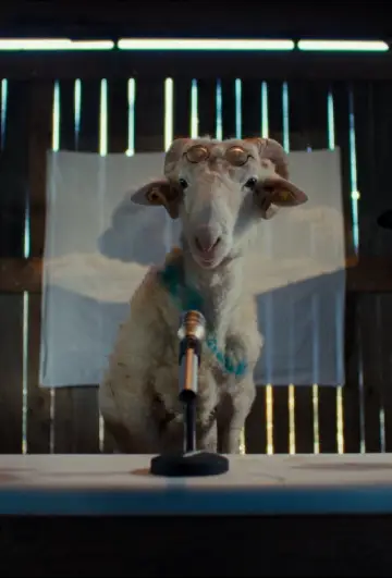 Sheep постер
