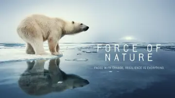 Задник до серіалу "Force of Nature" #1230094