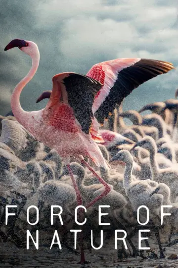 Постер до серіалу "Force of Nature" #1230097