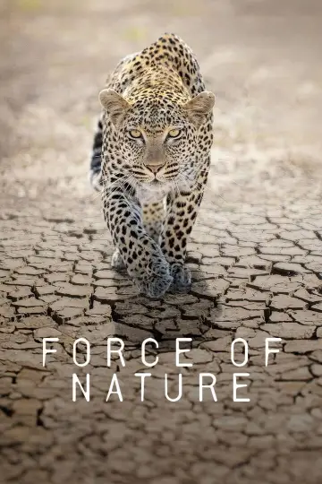 Постер до серіалу "Force of Nature" #1230098
