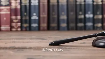 Задник до серіалу "Adam