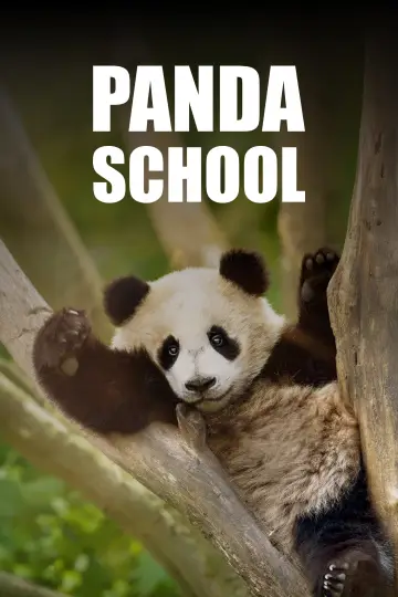 Panda School постер