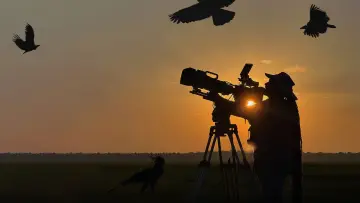 Задник до серіалу "Hamza: Birds of Prey" #1606844