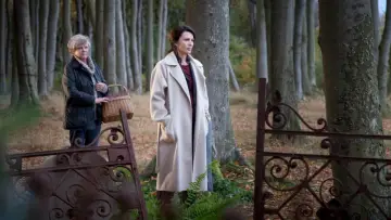 Rosa Roth постер