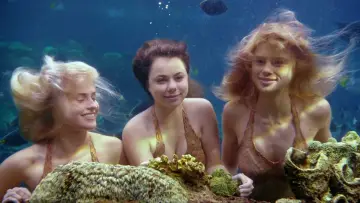 Задник до серіалу "Mako Mermaids: An H2O Adventure" #1405546