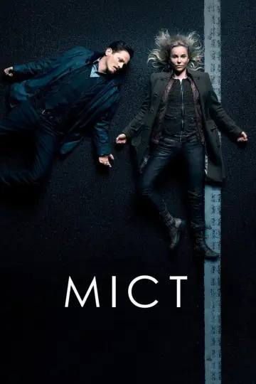 Міст (2011)