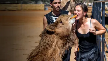Задник до серіалу "The Amazing Race Australia" #1504966