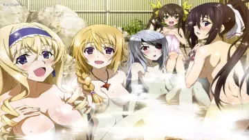 Задник до серіалу "IS: Infinite Stratos" #1391423