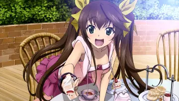 Задник до серіалу "IS: Infinite Stratos" #1391426