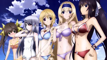 Задник до серіалу "IS: Infinite Stratos" #1391430
